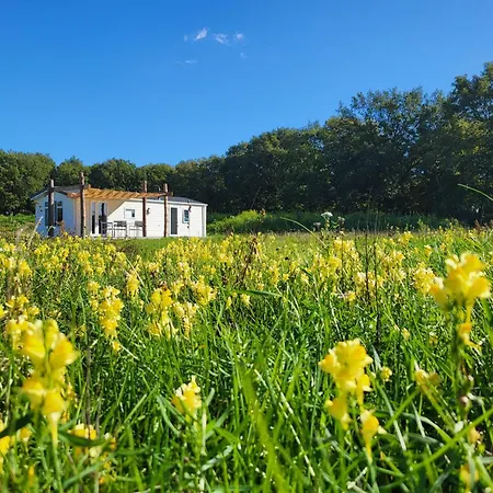 Hoeve Twente - De Wielewaal Chalet *