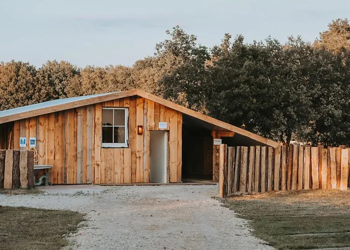 Hoeve Twente - De Wielewaal Chalet *