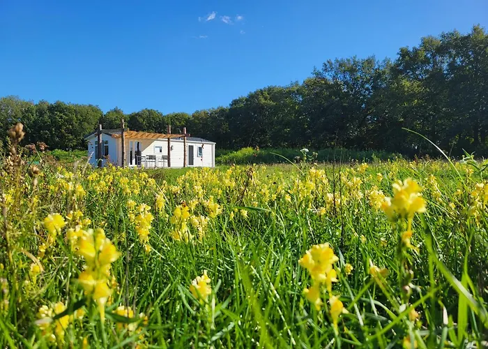 Hoeve Twente - De Wielewaal Chalet *