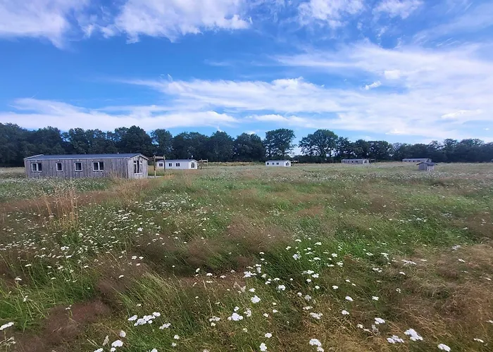 Chalet Hoeve Twente - De Wielewaal *