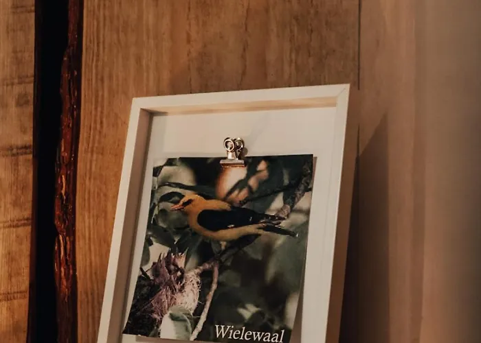 Chalet Hoeve Twente - De Wielewaal Heythuysen