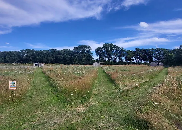 Hoeve Twente - De Wielewaal * Heythuysen