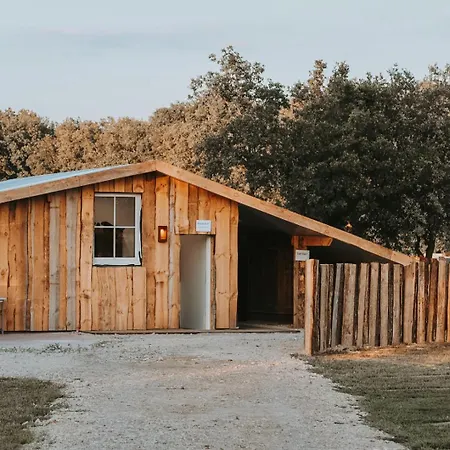 Hoeve Twente - De Wielewaal Chalet *