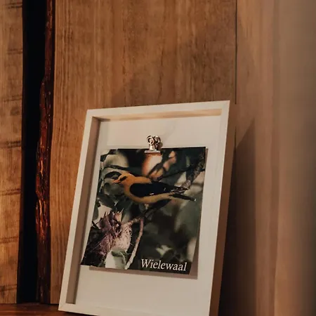 Chalet Hoeve Twente - De Wielewaal Heythuysen