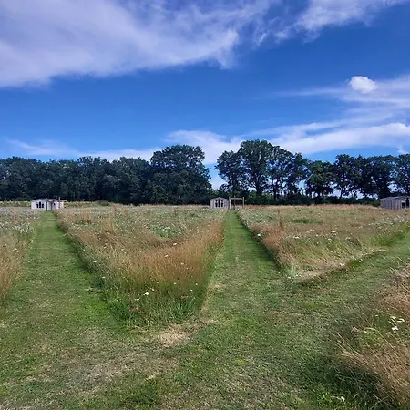 Hoeve Twente - De Wielewaal * Heythuysen